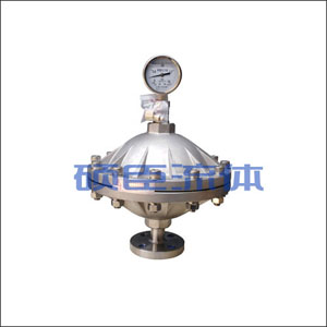 膜片式脈沖阻尼器 膜片式脈沖阻尼器